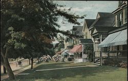 Willow Plane Postcard