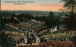 Rhododendron Valley, Highland Park Postcard