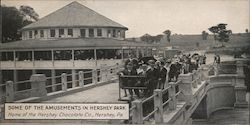 Some of the Amusement in HErshey Park Postcard