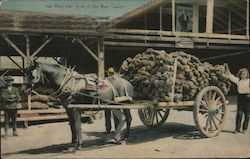 Stock #841520 Thumbnail