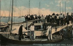 Unloading Kingfish Boats Postcard