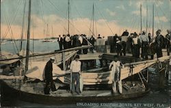 Unloading Kingfish Boats Key West, FL Postcard Postcard Postcard