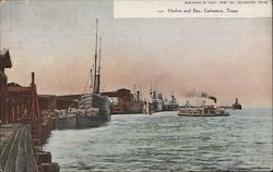 Harbor and Bay Postcard