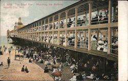 The Steel Pier Watching the Bathers Postcard