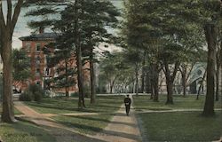 Harvard College Yard from the library Postcard