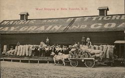 Wool Shipping Postcard