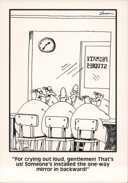 Primate Studies One Way Mirror Fail - The Far Side