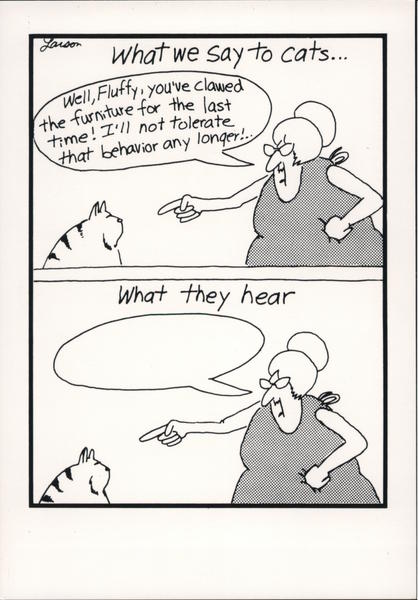 The Far Side: What We Say To Cats Gary Larson