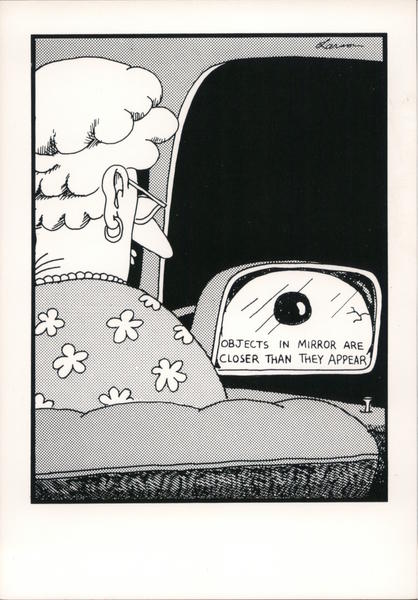 The Far Side: Objects In Mirror Are Closer Than They Appear