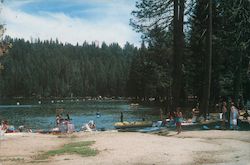 Pinecrest Lake California