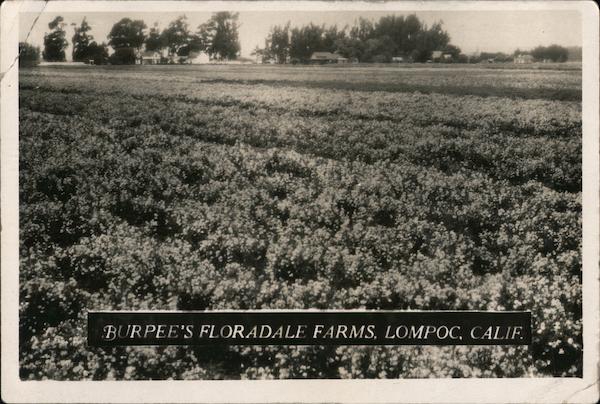 Burpee's Floradale Farms Lompoc California