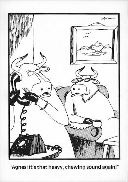 Cows: Agnes! It's the heavy, chewing sound again Gary Larson