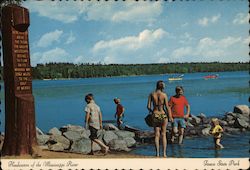 Headwaters of the Mississippi River - Itasca State Park Postcard