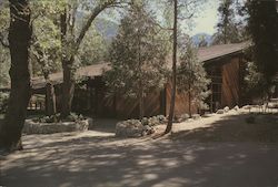 Blinco Lodge Forest Home Christian Conference Center Postcard
