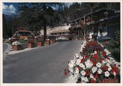 Alpen Motel Postcard