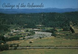 College of the Redwoods, Founded 1964 Postcard