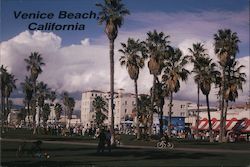 Venice Beach California Postcard Postcard Postcard
