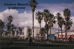 Venice Beach Postcard