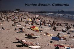 Venice Beach Postcard