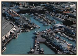 Marina at Fisherman's Wharf, San Francisco Postcard