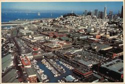 Aerial View Fisherman's Wharf Postcard