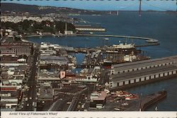 Aerial View Fisherman's Wharf Postcard