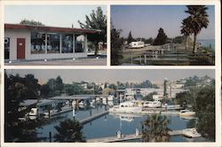 Delta Marina Yacht Harbor Postcard