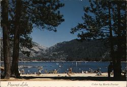 Pinecrest Lake Postcard