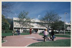 Stock #842239 Thumbnail