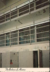 The Birdman of Alcatraz Postcard