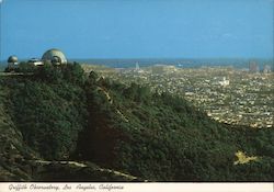 Stock #842282 Thumbnail