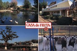 Casa De Fruta Postcard