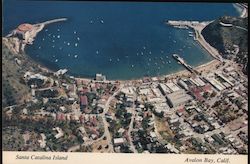 Aerial View of Avalon and Avalon Bay, South Catalina Island California Bliss Aerial Surveys Postcard Postcard Postcard