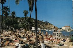 Beach at Avalon, Catalina Island, California Postcard