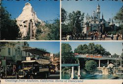 Greetings from Disneyland Postcard