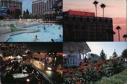 City Park Plunge at Anaheim California Swimming Pool Old Postcard Unused 