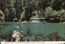 Bridge Bay Resort - Marina houseboat cruising Squaw Creek arm of Lake Shasta Shasta Lake, CA Postcard Postcard Postcard