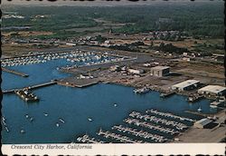 Crescent City Harbor Postcard
