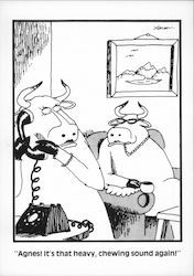 Cows: Agnes! It's the heavy, chewing sound again Gary Larson Postcard Postcard Postcard