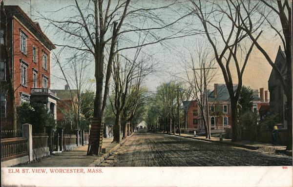 Elm St. View Worcester Massachusetts