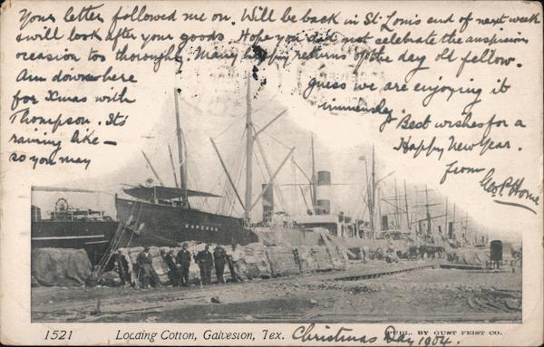 Locaing Cotton Galveston Texas