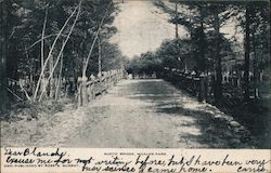 Rustic Bridge, Whalom Park Postcard