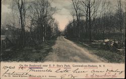 On the Boulevard near E.P. Roe's Park Cornwall-on-Hudson, NY Postcard Postcard Postcard