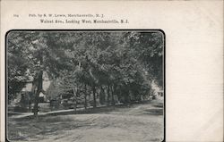 Walnut Street looking West Postcard