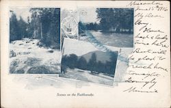 Scenes on the Rattlesnake Postcard