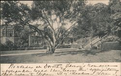 Haddon Hall, Terrace Steps Postcard