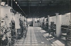 Roof Garden, Hotel Lincoln Postcard