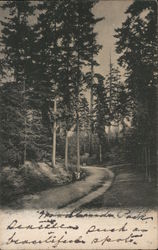 Woodland Park Postcard