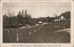 the White cottages Howell Mountain Postcard