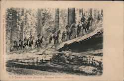 US Calvary crossing Mariposa Grove on fallen tree Yosemite Valley, CA Postcard Postcard Postcard